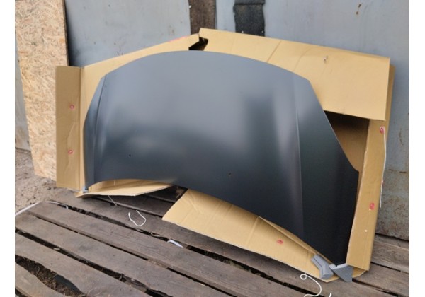 Капот Citroen C3, 10 - 16, 7901R1
