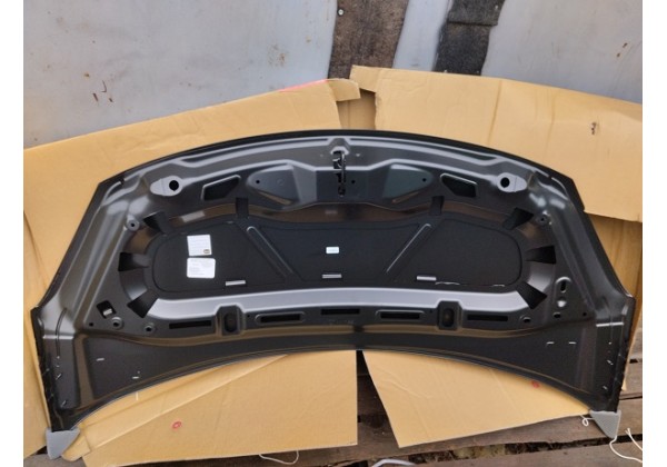Капот Citroen C3, 10 - 16, 7901R1