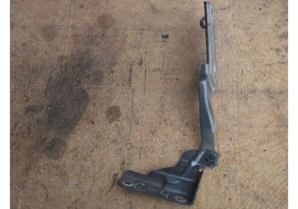 Петля капота ліва Citroen C4, 04-11, 468914