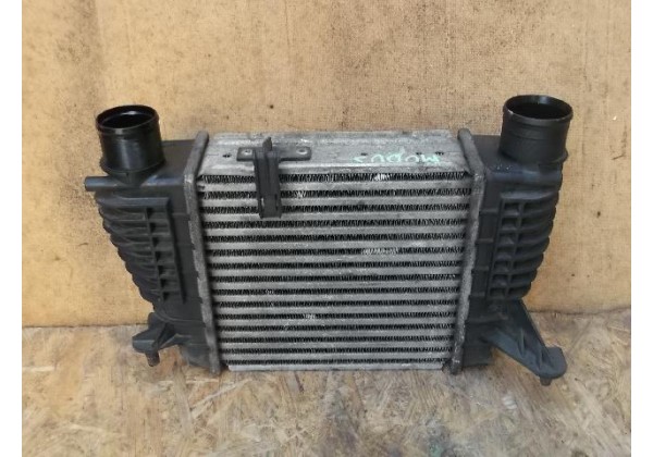 Інтеркулер Renault Clio III, Modus, 8200471888