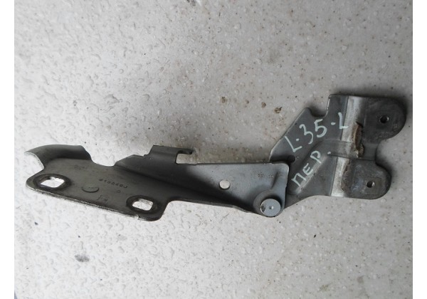 петля капоту (ліва,права) Renault Laguna II, 7701206963