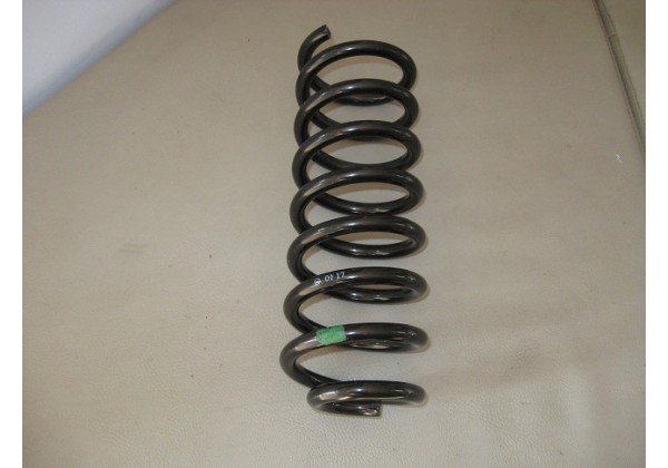 пружина задня Renault Logan, Sandero, 6001547493, 6001547971, 6001548731, цвет метки Green, L=295mm; D=11.20mm