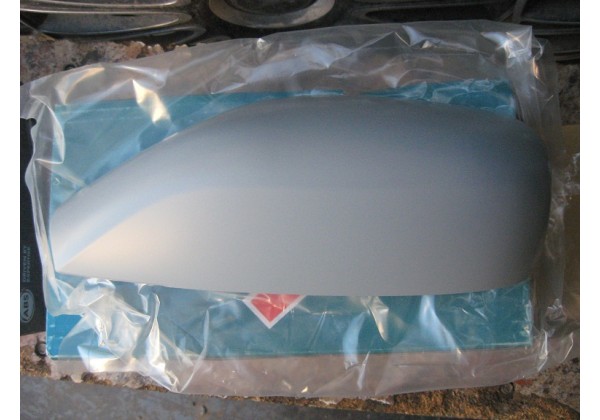 Корпус дзеркала зовнішнього лівого Renault Laguna II, 8200000508