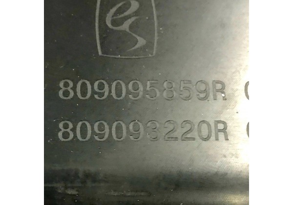 Обшивка, карта лівої задньої дверки Renault Sandero Stepway 2, 809095859R, 809093220R *