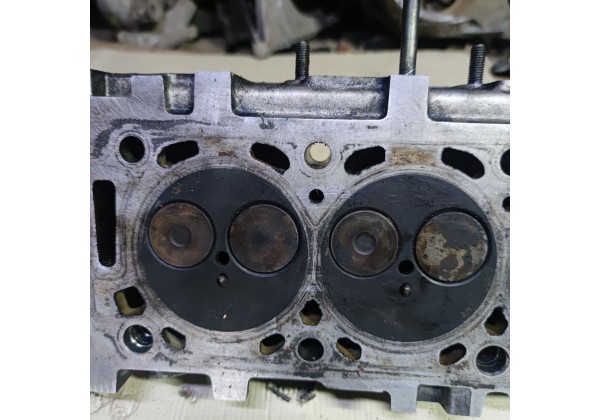Головка двигуна 2.0 HDI, 8V, Peugeot Partner, Expert 206,307,406,407,607,807, Citroen C5,C8,Berlingo, Jumpy,БЕЗ РОКЕРІВ