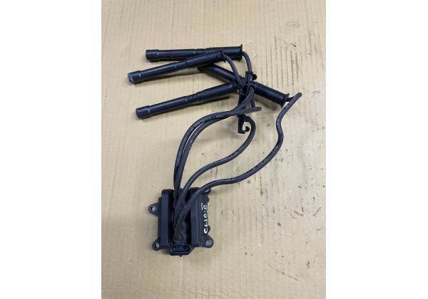 котушка запалювання Renault Kangoo, II, Logan II, Sandero II, Clio II, III, Modus, Twingo 1.2 16V, 8200360911, 8200051128, 0986221036