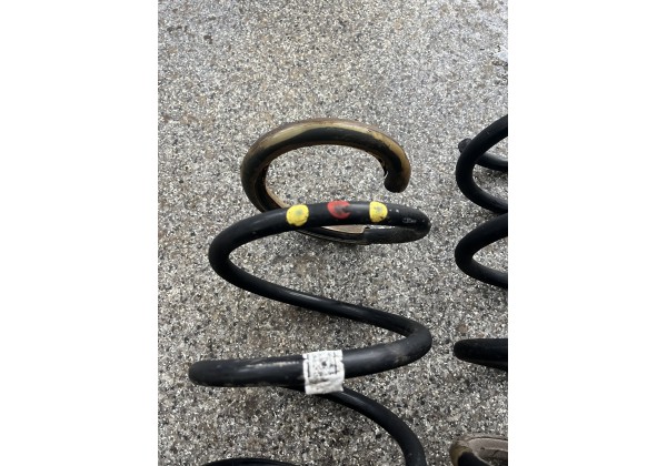 Пружина передня Renault Megane 3 , 1,6 DCI, мітки жовта+червона+жовта , 540100134R