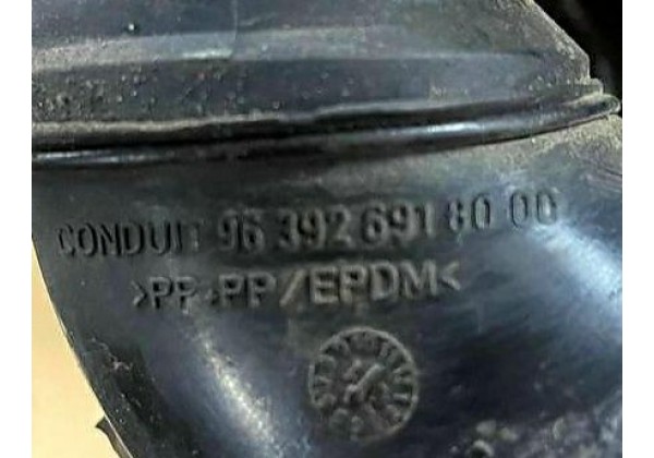 Патрубок повітряного фільтра Citroen C2, C3, Peugeot 207, 1.1 8V, 1.4 8V, 9639269180