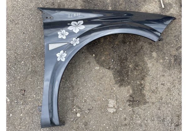 Крило праве Renault Megane II 06-