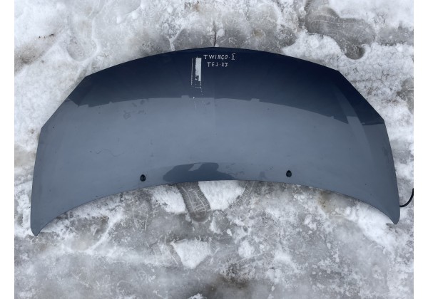 Капот Renault Twingo II, TEJ47