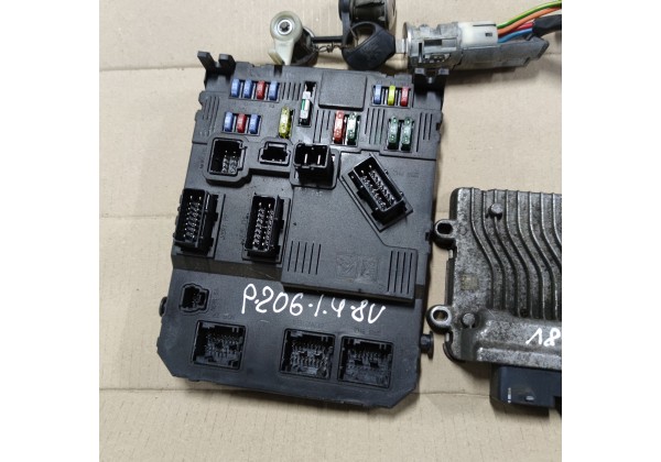 Комплект запалювання Renault Megane 2, Scenic 2, 1.5 DCi, Delphi, 8200334419, 8200374152, 8200309689, S118400120 D