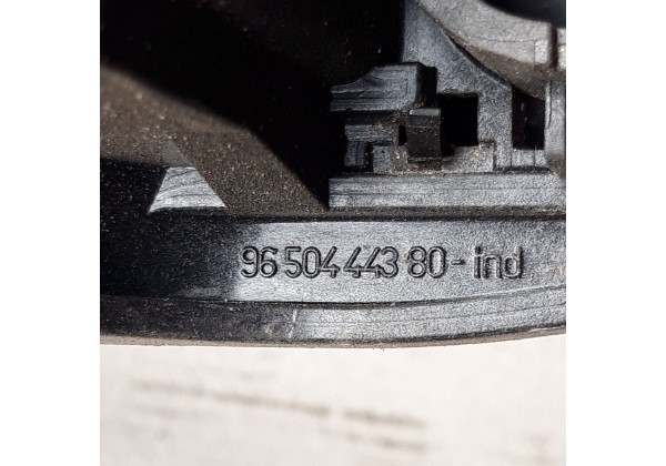 Ручка наружна правої передньої дверки Citroen C2, C3, 9650444380