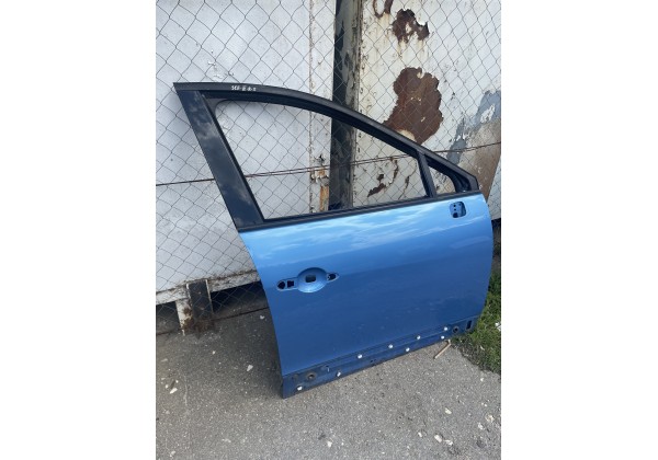 Двері передні праві Renault Scenic III, Колір TERPB