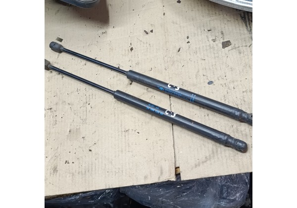 Амортизатор кришки багажника Сітроен С3,9639853880