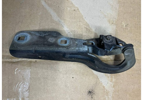 Петля завіс капоту лівий Renault Scenic, RX4, 7700843529, 843529