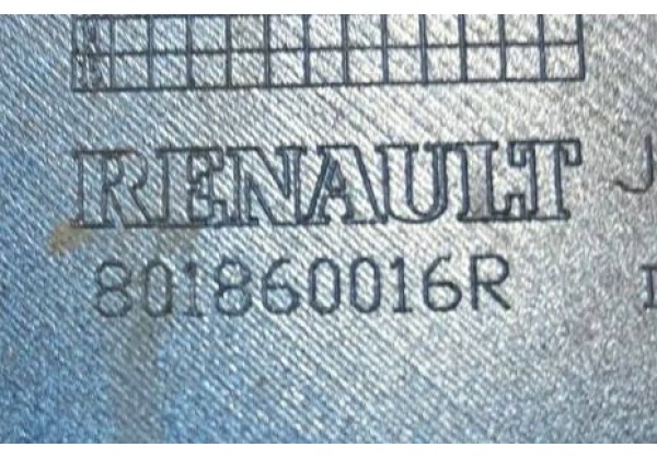 Молдинг передньої правої дверки Renault Scenic 3, 801860016R