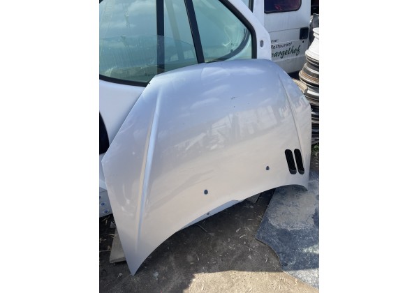 Капот Peugeot 206