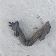 Гофра проводки багажника Рено Меган 2 комбі, 8200124902