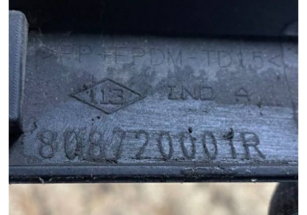 Молдинг правої передньої дверки Renault Laguna 3, 808720001R