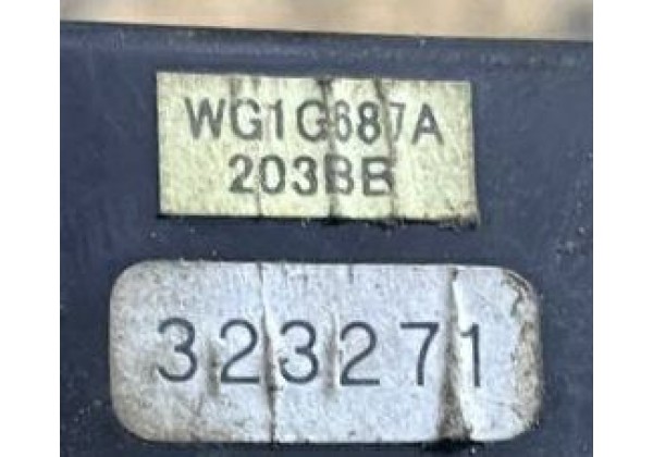 Електронний модуль управління Renault Master 3, WG1G687A