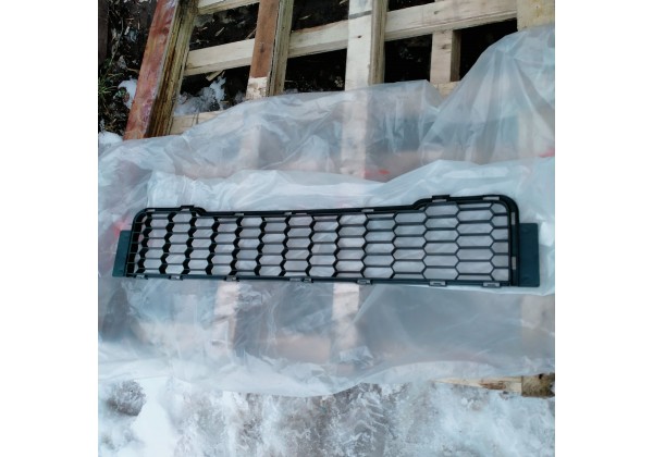 Решітка в бампері середня Renault Kangoo II, 11-13, 8200665549