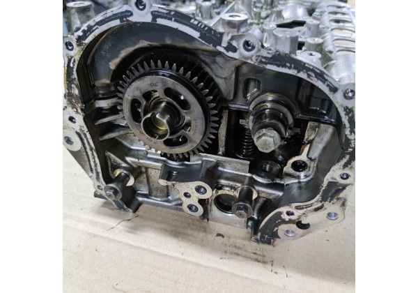 Головка двигуна 2.0 дці M9R, Євро 4, Renault Laguna 2,3, Megane 2,3, Scenic 2,3, Koleos,Espace 4,комплектна,в хорошому стані,7701477996,7701476669,8200454469,ціна 500 долл.