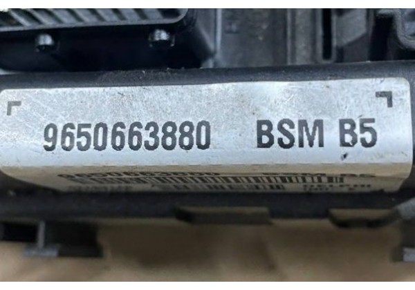 Блок запобіжників, модуль BSM B5, Citroen C4, Peugeot 207, 307, 9650663880
