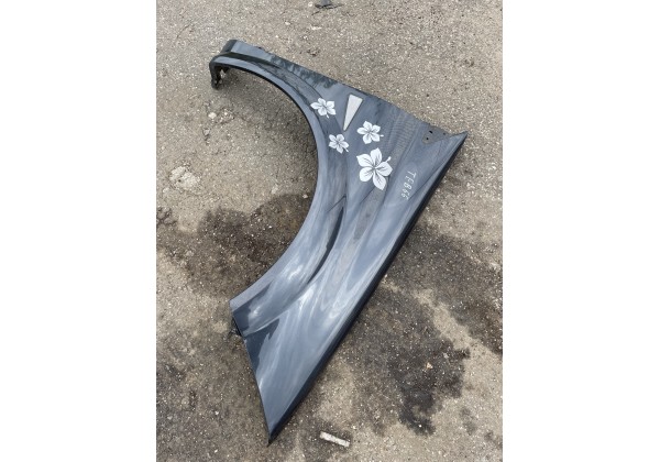 Крило праве Renault Megane II 06-