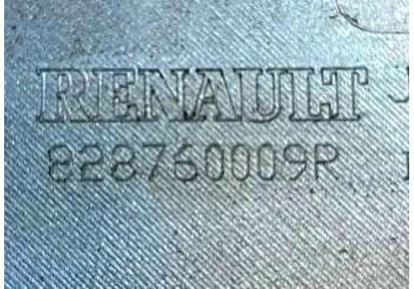 Молдинг задньої правої дверки Renault Scenic 3, 828760009R