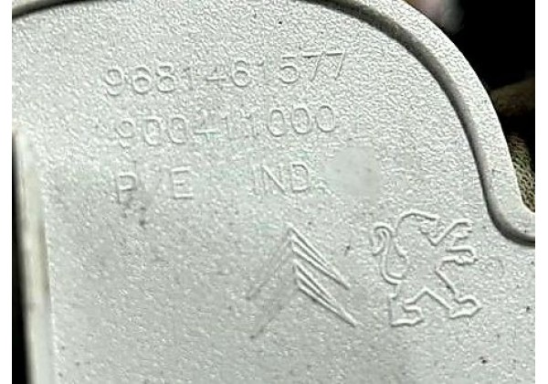 Заглушка обшивки стелі Citroen Berlingo 2, Peugeot Partner 2, 9681461577