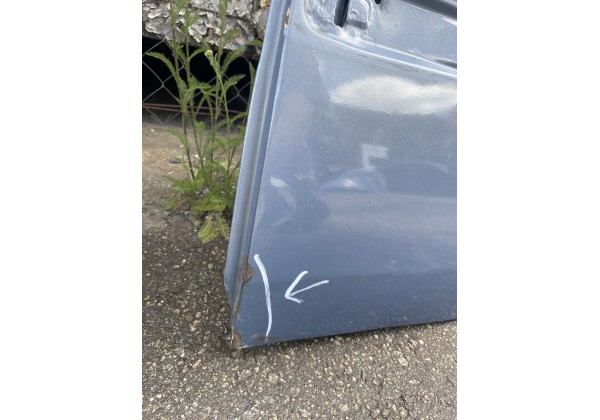 Двері задні ліві Renault Scenic II, TED47, Дефект