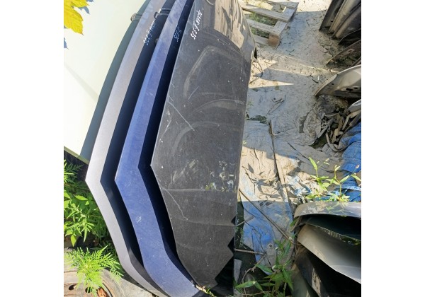 Капот Рено Сценік 2, колір NV676