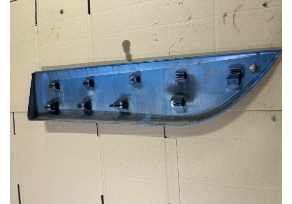 Молдинг задньої правої дверки Renault Scenic 3, 828760009R