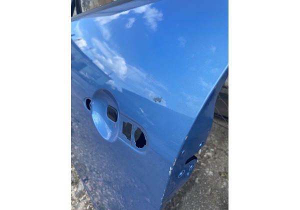 Дверка передня ліва Renault Scenic III, Колір TERPB