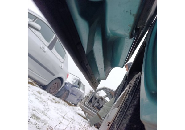 Двері передні ліві Renault Kangoo I, TEF92, Ціна за голу.