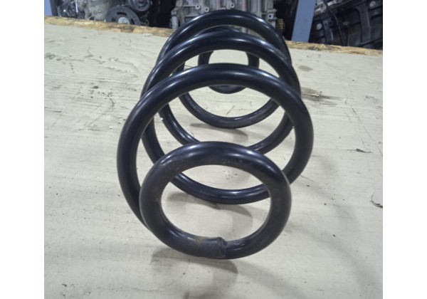 Пружина задня Renault Clio 3, Modus, 550204217R