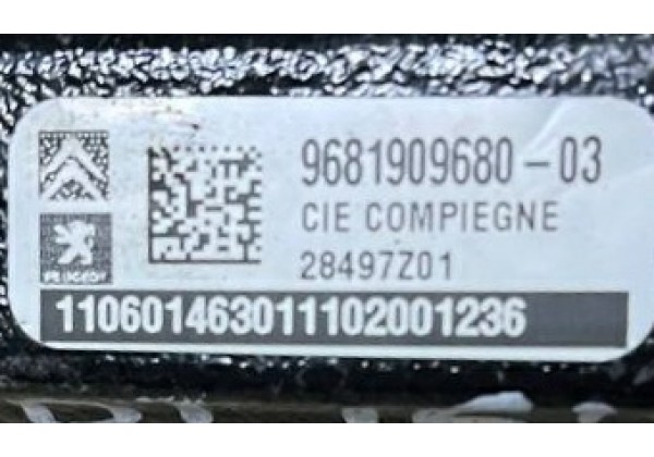 Паливна рейка Citroen, Peugeot, 2.0 HDi, 1570P3, 9681909680