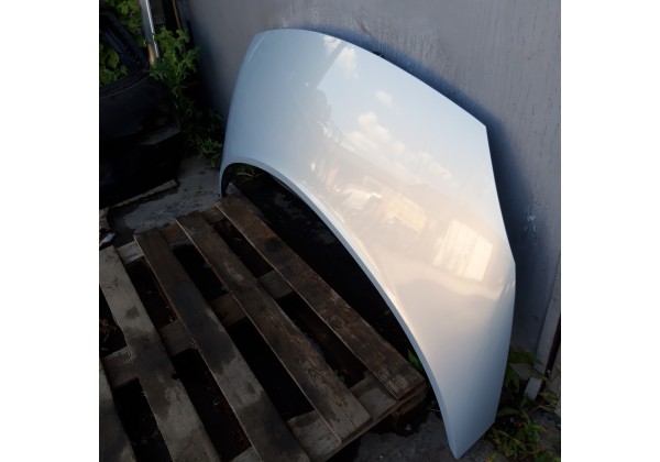 Капот Renault Scenic II, 7751474289*