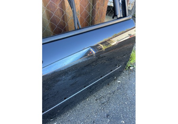 Двері передні праві Renault Scenic II, NV676