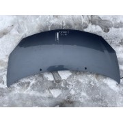 Капот Renault Twingo II, TEJ47