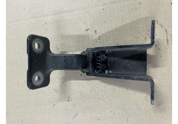 Завіс нижній задньої лівої / правої розпашної дверки Renault Kangoo 2, 904115738R