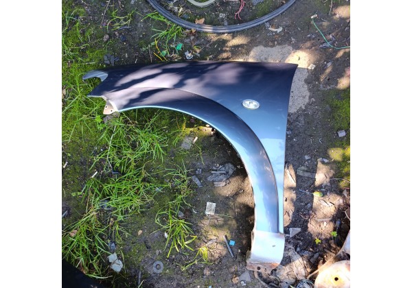 Крило ліве Сітроен С3 02-09р, колір EZWC