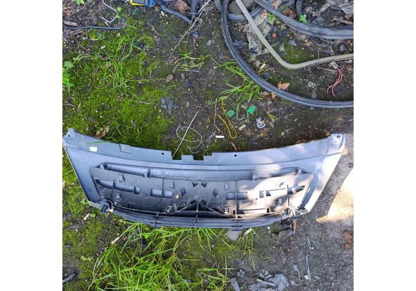 Решітка передня , решітка радіатора Сітроен С3, 05-09о, колір EZWC,9680094177