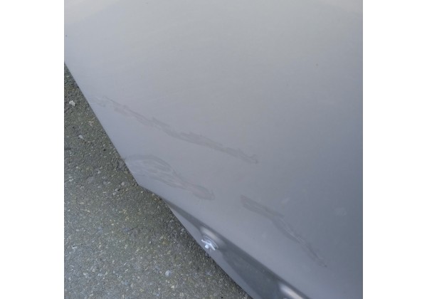 Дверка задня права Renault Megane 3 комбі, 821004555R,ціна за голу