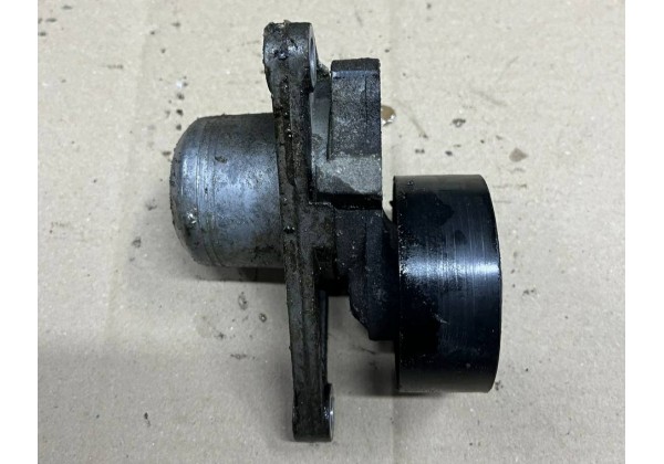Натяжний механізм ременя генератора Renault, 2.0, 2.3 DCi, 8200357406, 117507568R