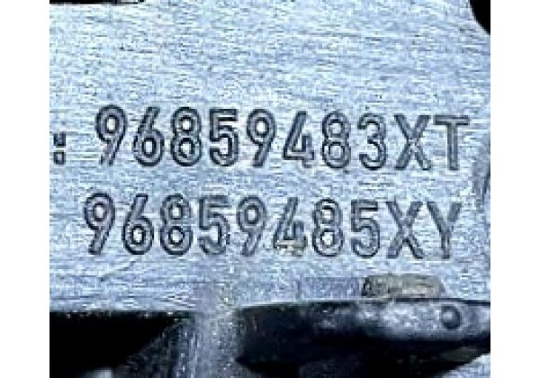 Декоративна накладка переднього лівого крила Peugeot 5008, 09-16, 96859483XT, 96859485XY