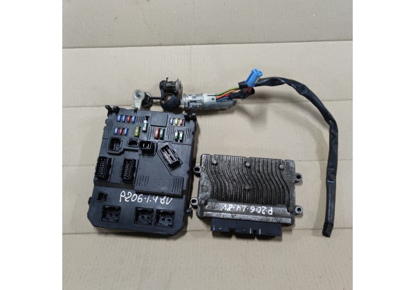 Комплект запалювання Renault Megane 2, Scenic 2, 1.5 DCi, Delphi, 8200334419, 8200374152, 8200309689, S118400120 D