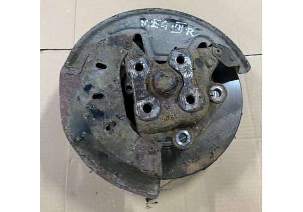 Гальмівний диск задній правий з цапфою Renault Megane 3, Scenic 3, 432002188R, 430180834R