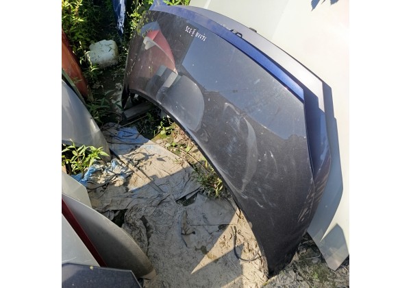 Капот Рено Сценік 2, колір NV676