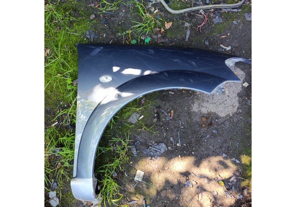 Крило праве Сітроен С3 02-09р, колір EZWC